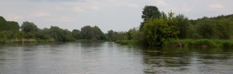 Rzeka Pilica